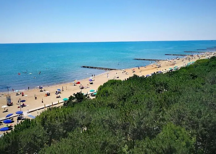 Modern With Shared Pool